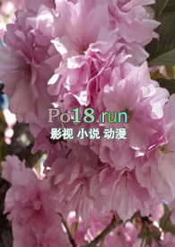 调教小狗的表情包